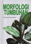 Morfologi tumbuhan